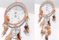 Dream Catcher Claro